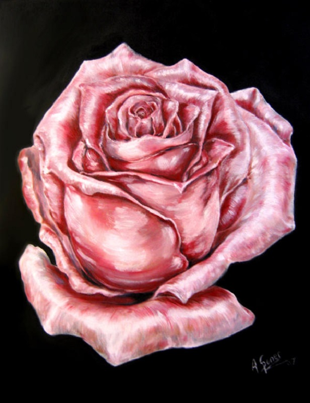Blushing rose